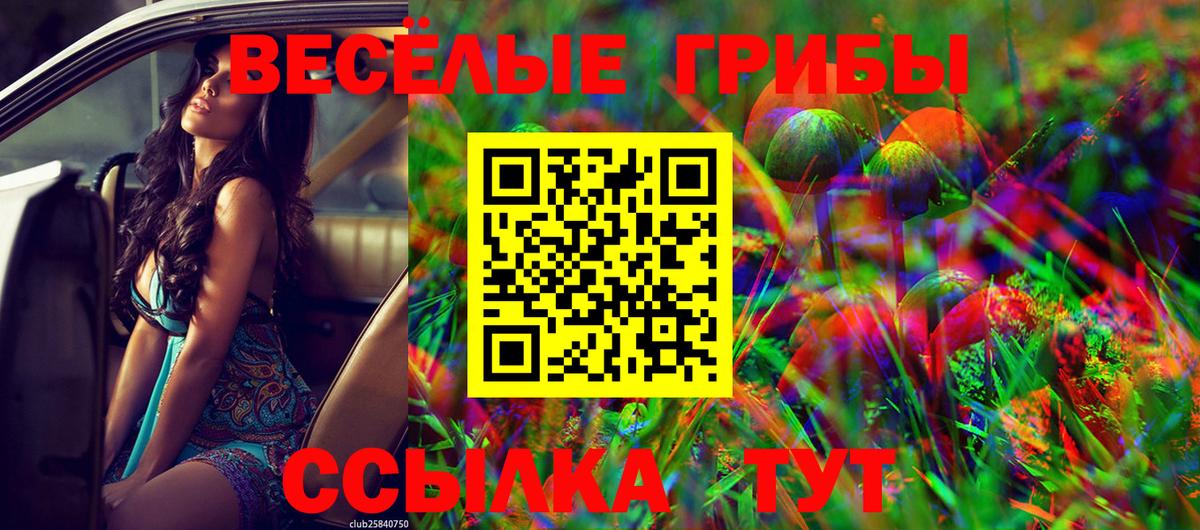 Нефтекамск  Галлюциногенные грибы Cubensis  наркотики  Вход с VPN 