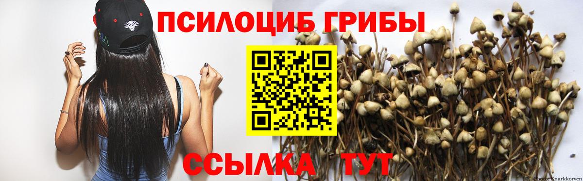 Псилоцибиновые грибы GOLDEN TEACHER Нефтекамск